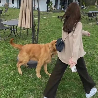 野妈妈